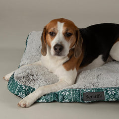 Santa Paws Green Christmas Mattress Dog Bed