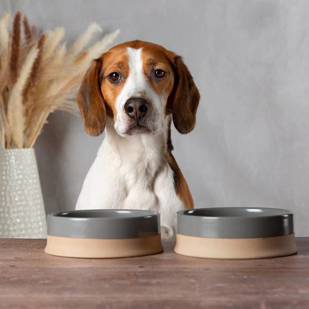 Scandi 2 Piece Non Tip Pet Food & Water Bowl - Grey