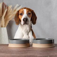 Scandi 2 Piece Non Tip Pet Food & Water Bowl - Grey