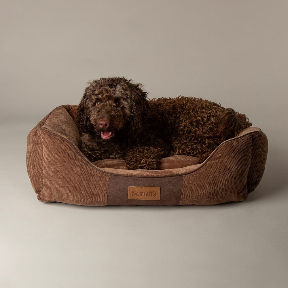 Scruffs Chester Box Bed Chocolate