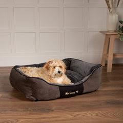 Scruffs Chester Box Bed Graphite