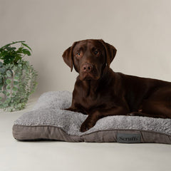 Scruffs Cosy Mattress Grey Dog Bed