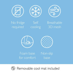 Scruffs Dog Cool Bed