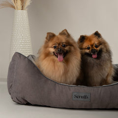 Scruffs Thermal Box Dog Bed Grey