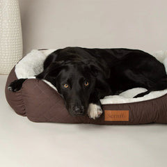 Scruffs Wilton Box Dog Bed Chocolate Brown
