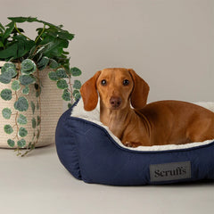 Scruffs Wilton Box Dog Bed Navy Blue