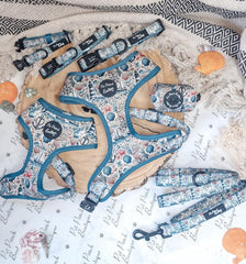 Shipwrecked Nautical Dog Harness