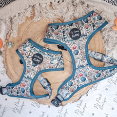 Shipwrecked Nautical Dog Harness