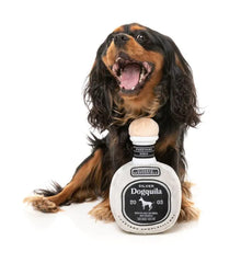 Silver Dogquila Dog Toy by FuzzYard