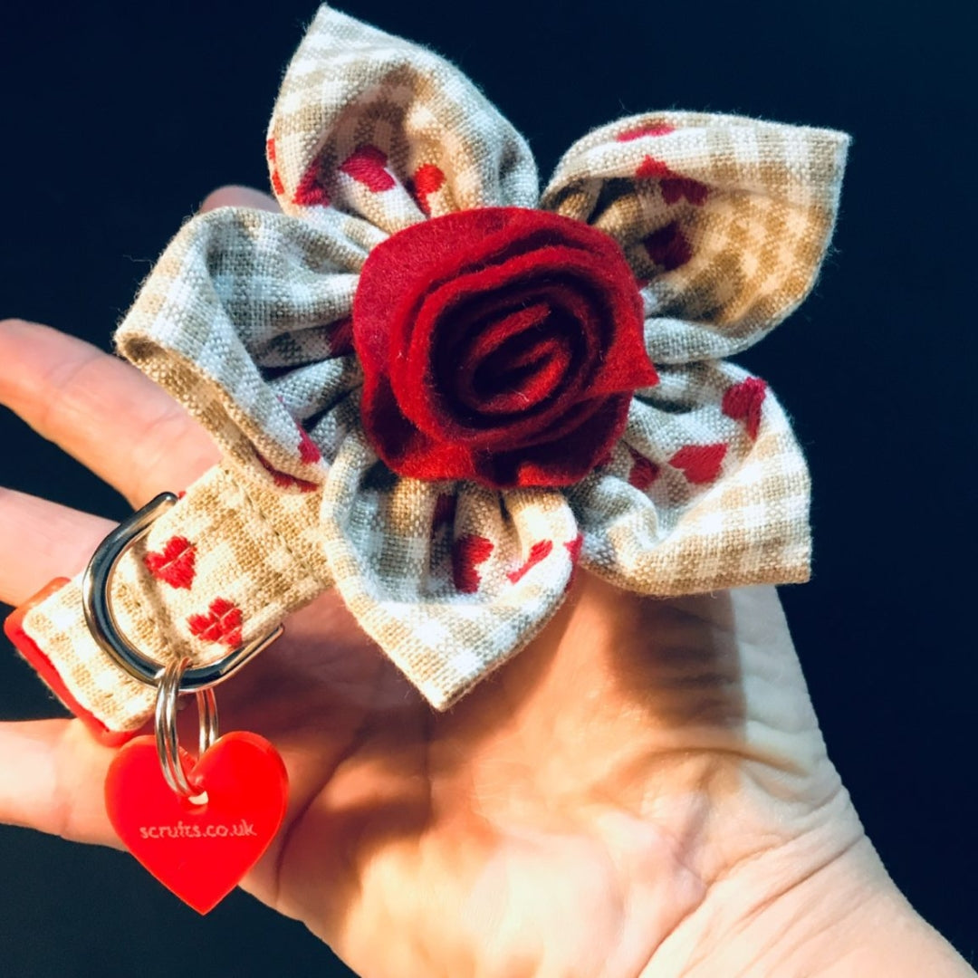 Skandi Rose Dog Collar with Detachable Flower