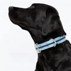 All-Terrain Canvas Dog Collar - Sky Blue / Navy
