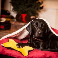 Snuggle Unders for Creature Clothes Dog Beds