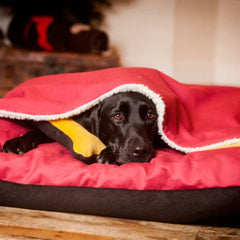 Snuggle Unders for Creature Clothes Dog Beds