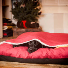 Snuggle Unders for Creature Clothes Dog Beds