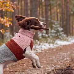 Sotnos Milkshake Dog Jumper