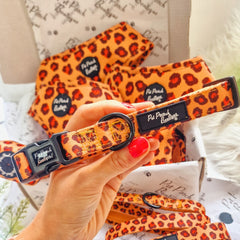 Spiced Honey Leopard Dog Collar