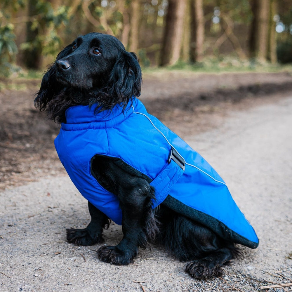 Sports Luxe Waterproof Dog Coat Blue by Danish Design