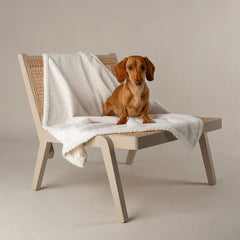 Starlight My First Round Puppy Bed & Blanket Set - Cream