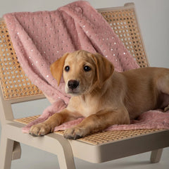 Starlight My First Round Puppy Bed & Blanket Set - Pink Scruffs