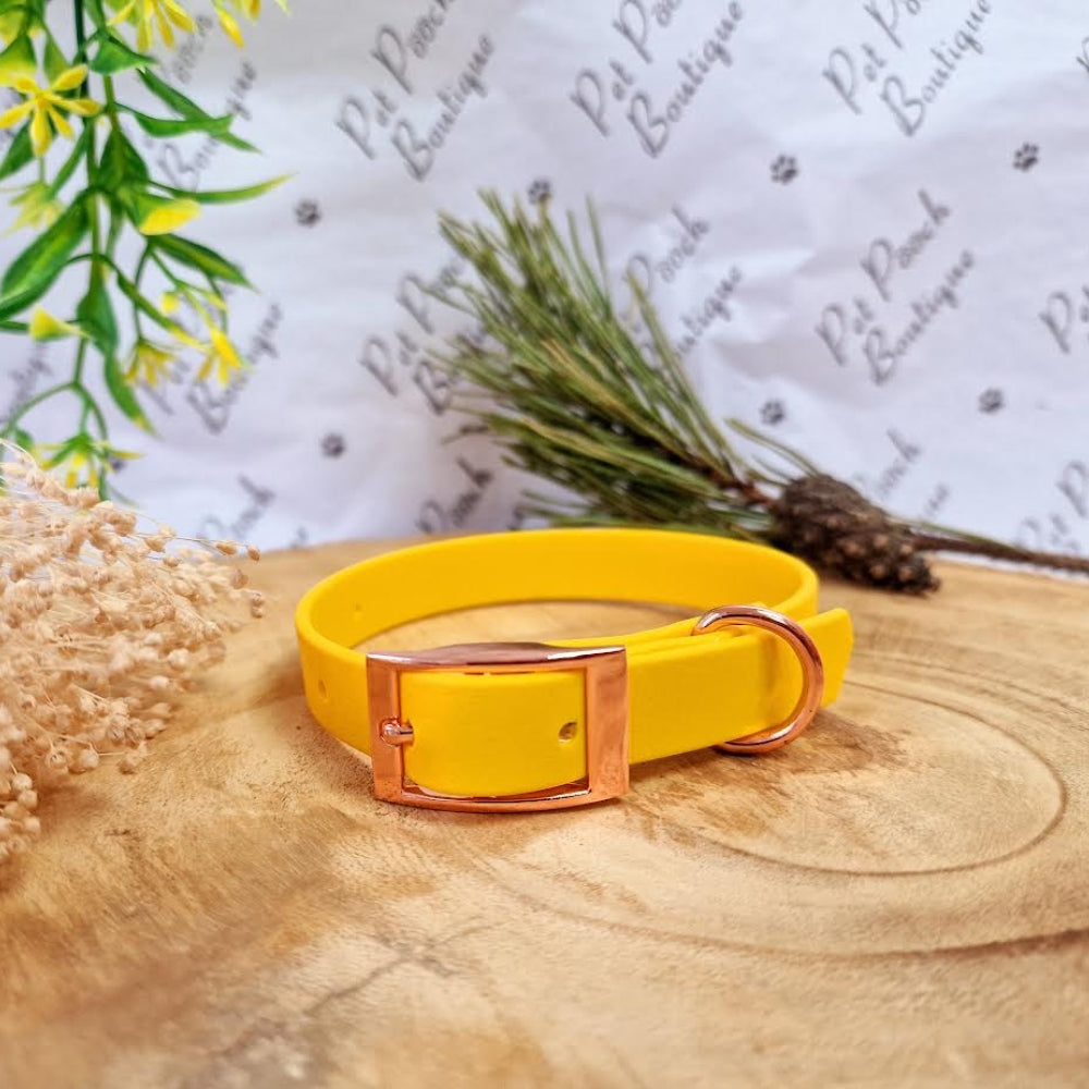Sunflower Yellow Biothane Vegan Dog Collar