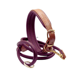 Tan & Merlot Luxury Padded Leather Dog Collar and Rolled Lead Set by Dogs & Horses
