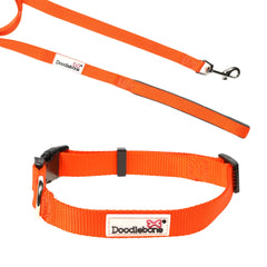 Tangerine Puppy Collar & Lead Set by Doodlebone