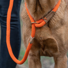 Tangerine Rope Dog Lead by Ruff And Tumble