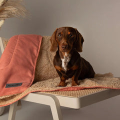 Terracotta Snuggle Pet Blanket