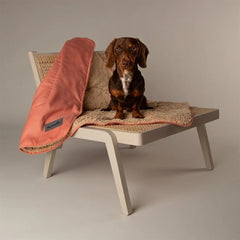 Terracotta Snuggle Pet Blanket