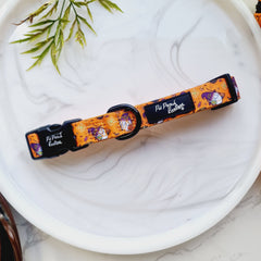 Trick or Treat Harry Halloween Dog Collar