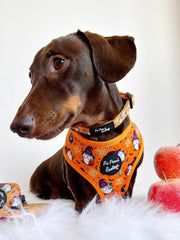 Trick or Treat Harry Halloween Dog Harness