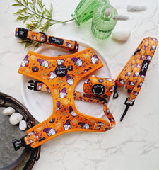Trick or Treat Harry Halloween Dog Harness