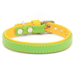 Two Tone Leather Dog Collar by Petiquette