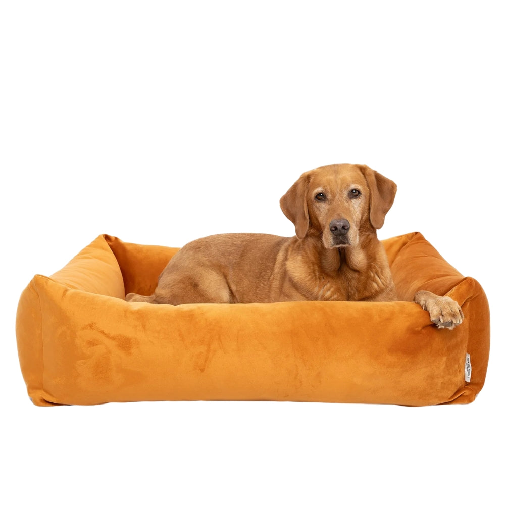 Velvet Burnham Bolster Dog Bed - Burnt Orange
