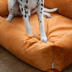 Velvet Burnham Bolster Dog Bed - Burnt Orange