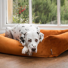 Velvet Burnham Bolster Dog Bed - Burnt Orange