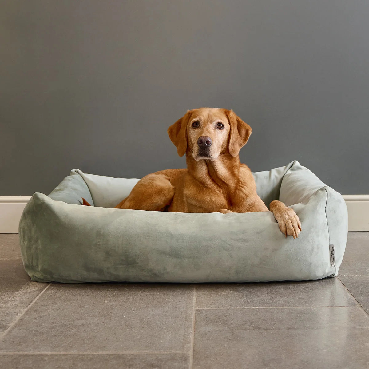 Velvet Burnham Bolster Dog Bed - Pistachio