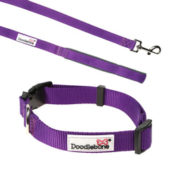 Violet Puppy Collar & Lead Set by Doodlebone