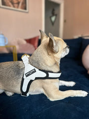 White Step In Vegan Leather Dog Harness
