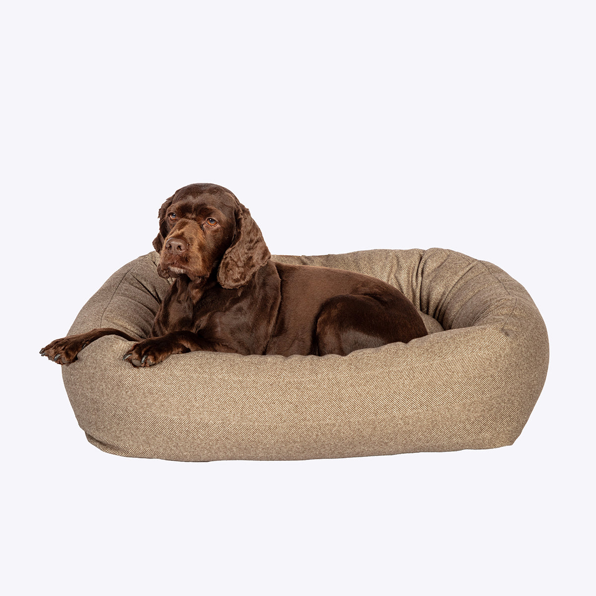 Willowdale Snuggle Dog Bed by Danish Design