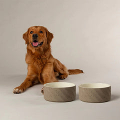 Zen 2 Piece Dog Bowl Food & Water Bowl Set - Brown
