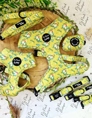 Zesty Butter Meadows Floral Dog Collar