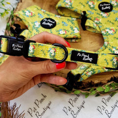 Zesty Butter Meadows Floral Dog Collar