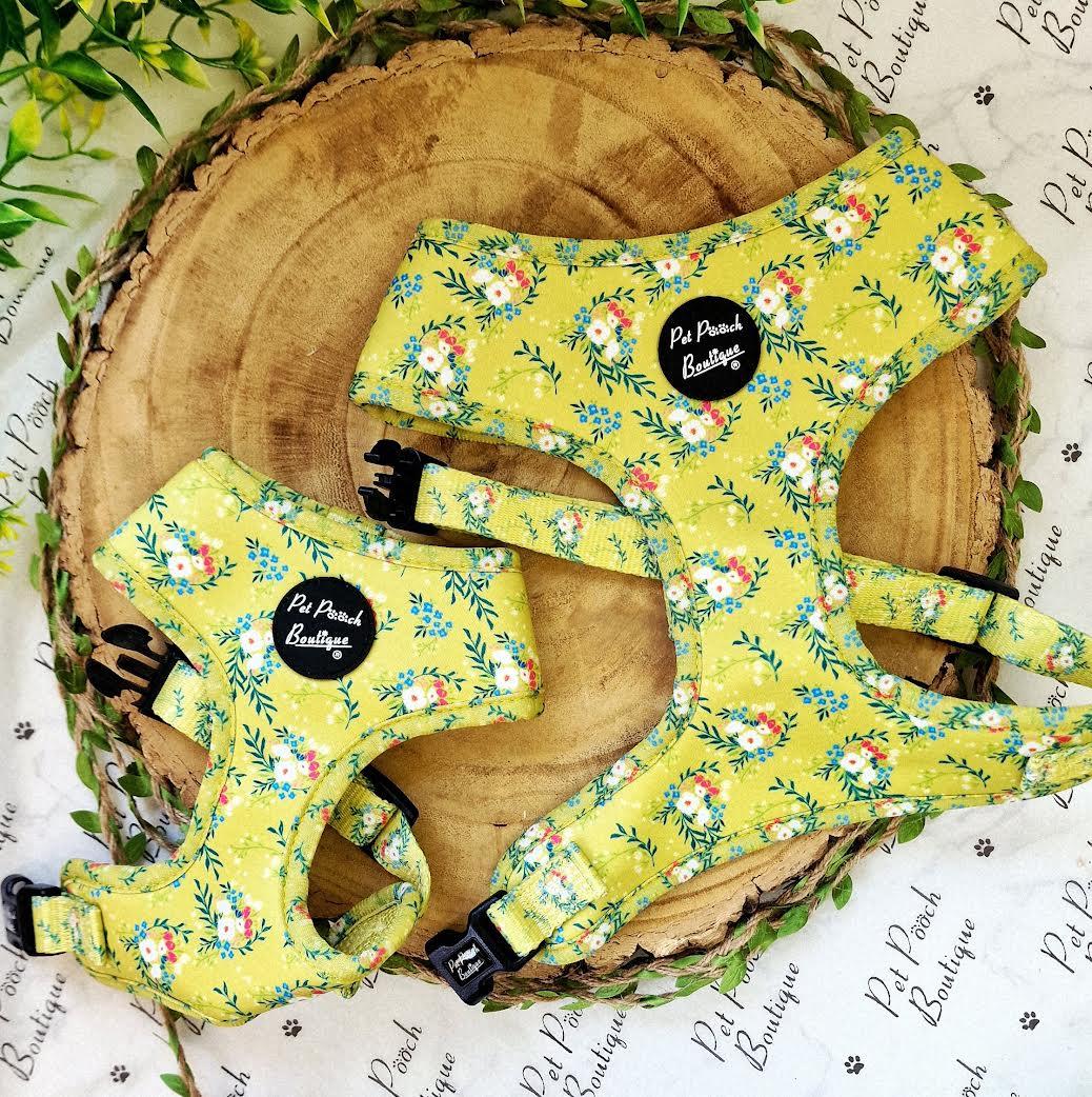 Zesty Butter Meadows Floral Dog Harness
