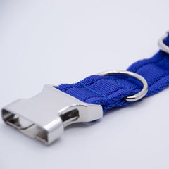Personalised Activity Dog Collar Blue