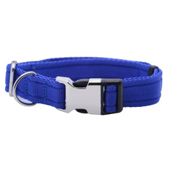 Personalised Activity Dog Collar Blue