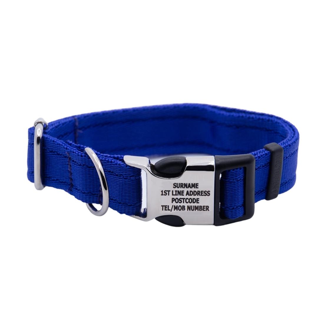 Personalised Activity Dog Collar Blue