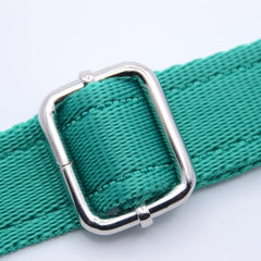 Personalised Activity Dog Collar Green