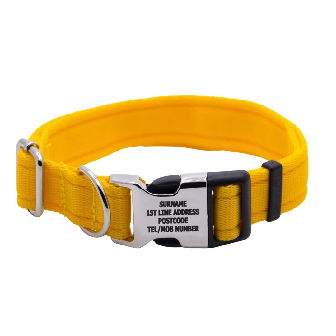 Personalised Activity Dog Collar Yellow