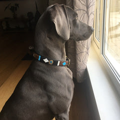 Luxury Leather Beaded Dog Collars